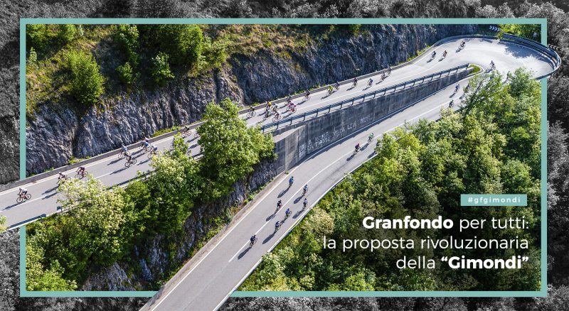 gimondi_insights_visual